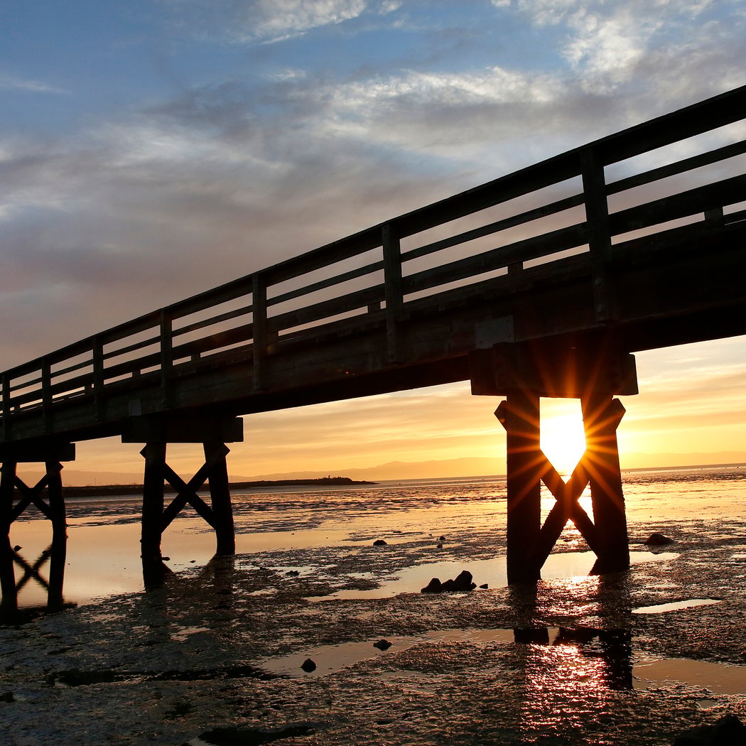 Hayward Regional Shoreline 1